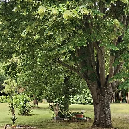 La Casanat Montgiscard